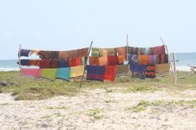 IMG_4608.jpg